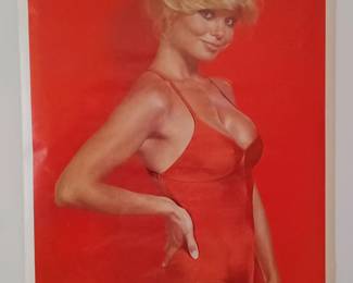 Vintage Loni Anderson poster