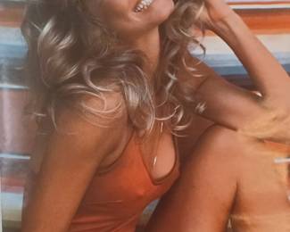 Vintage Farrah Fawcet Poster