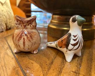 Tonala owl and Tonala bird