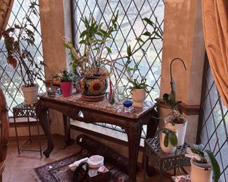 orchid, christmas cactus, and various other live plants 