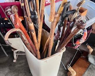 Canes and Walking Sticks