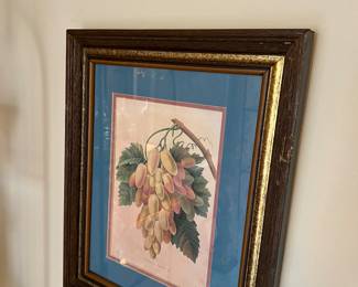 Pierre Joseph Redoute  Botanical flowers raisins blanc 