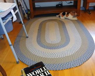 braided rug $30