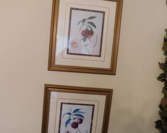BOTANICAL FRAMED PRINTS