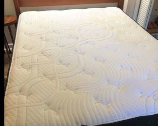 Starlight luxury plush QUEEN mattress (new in Oct. 2022 - some stains)!