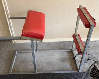 TDS ABS AND CALVES WORKOUT BENCH