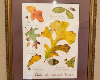 PAINTING OF THE OAKS OF CENTRAL TEXAS