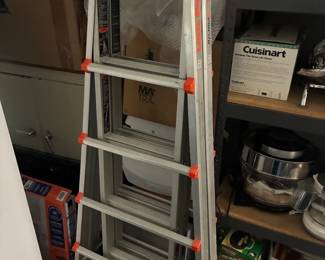 Little Giant ladder