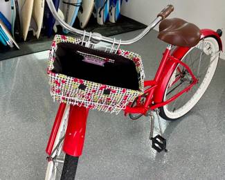 Freedom beach cruiser