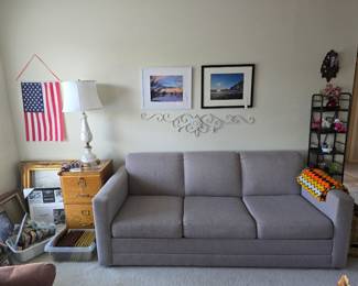 ***STILL AVAILABLE*** sleeper sofa #2