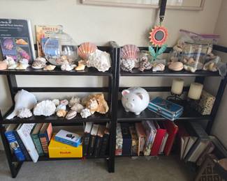 seashell collection, picture albums, books, kodak camera +++