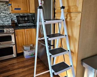 5 step ladder $14