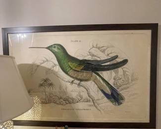 Large Bird Print