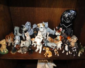 Dog Collection
