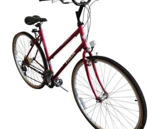 Trek Multitrack 700 Bike