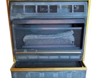 Radiant Flame Electric Fireplace Insert Model RFP30T