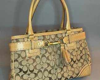 Coach Signature Hampton Carryall Bag