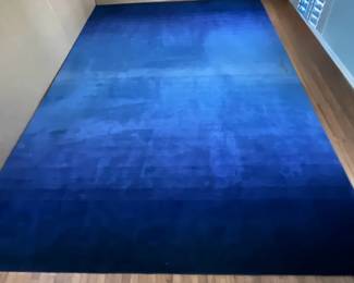 Home Decorators Big Blue Rug