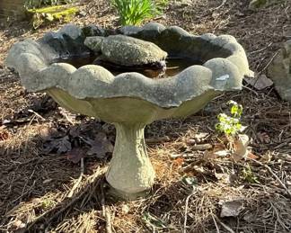 Turtles Birdbath