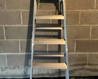 Werner Metal Ladder