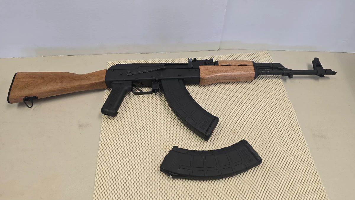 Romarm WASR 10
