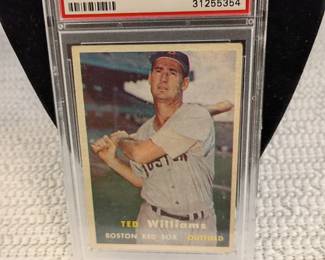 Graded Ted Williams