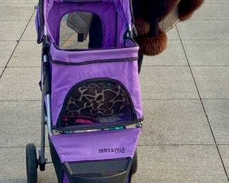 Pet stroller in great shape!