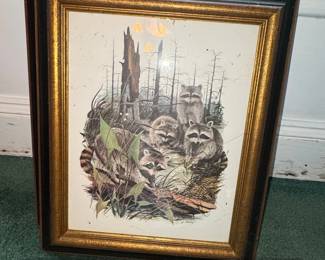 Framed Print of Raccoons in a Forest Scene by J. Lockhart