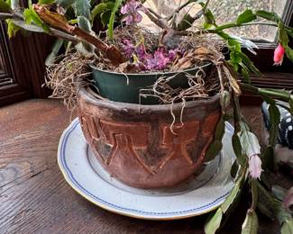 Christmas Cactus in Decorative Pot
