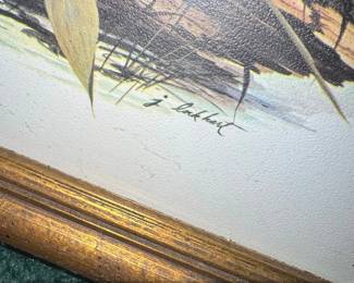 Framed Print of Raccoons in a Forest Scene by J. Lockhart second image