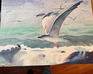 Seagull in Flight Watercolor Painting by Sndor Bernth