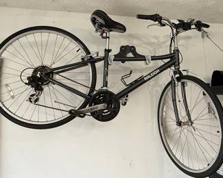 Raleigh Detour 3.5 Bicycle