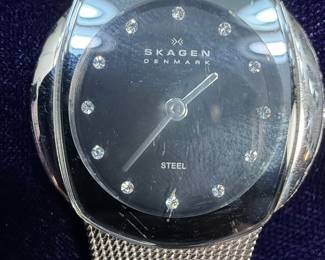 Skagen Denmark Steel Mesh Watch and Relic Stainless Steel Watch with Blue Dial