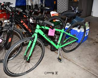 0018Some Highlights Elburn Estate Sale