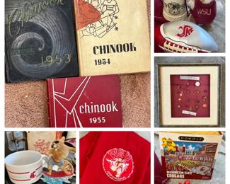 95 HugeWSUCollectiblesLot