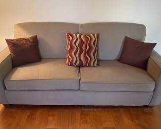 Modern Upholstered Sofabed