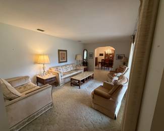 Brushed Velvet vintage Sofa and Loveseat