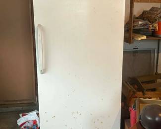 Upright freezer in great working condition. Stored in the garage. 