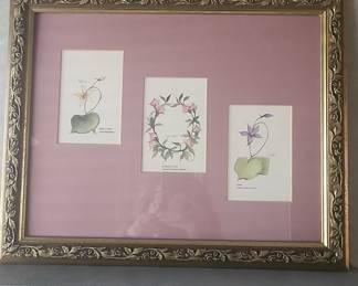 Framed Botanical Prints 'Beth', 'Laurie', 'Lisa'