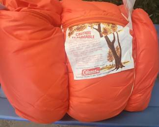 Coleman Sleeping Bag