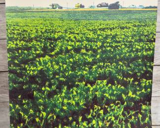 Joseph Sim Signed Lithograph Print "Last Year For Beans" (Green Variation)