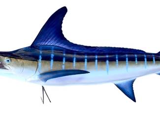 Impressive Blue Marlin Replica Fish Mount Wall Decor - 102in Long Nautical Art