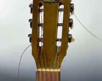 Vintage Prestige Acoustic Guitar, Japan, Steel Reinforced Neck, Zebrawood Back