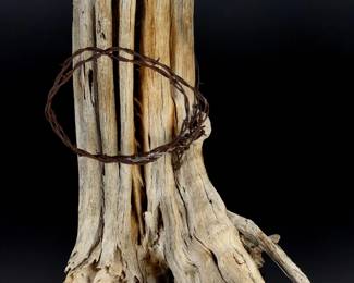 Unique saguaro CACTUS SKELETON & Barbed Wire Rustic Desert Decor Centerpiece