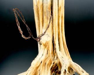 Unique Saguaro Cactus Skeleton & Barbed Wire Rustic Desert Decor Centerpiece