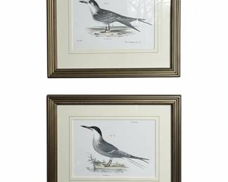 Pair of Ornithological Prints by J.W. Hill from Zoology of New York