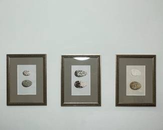 Framed Bird Egg and Animal Silhouette Art Prints on Linen second image