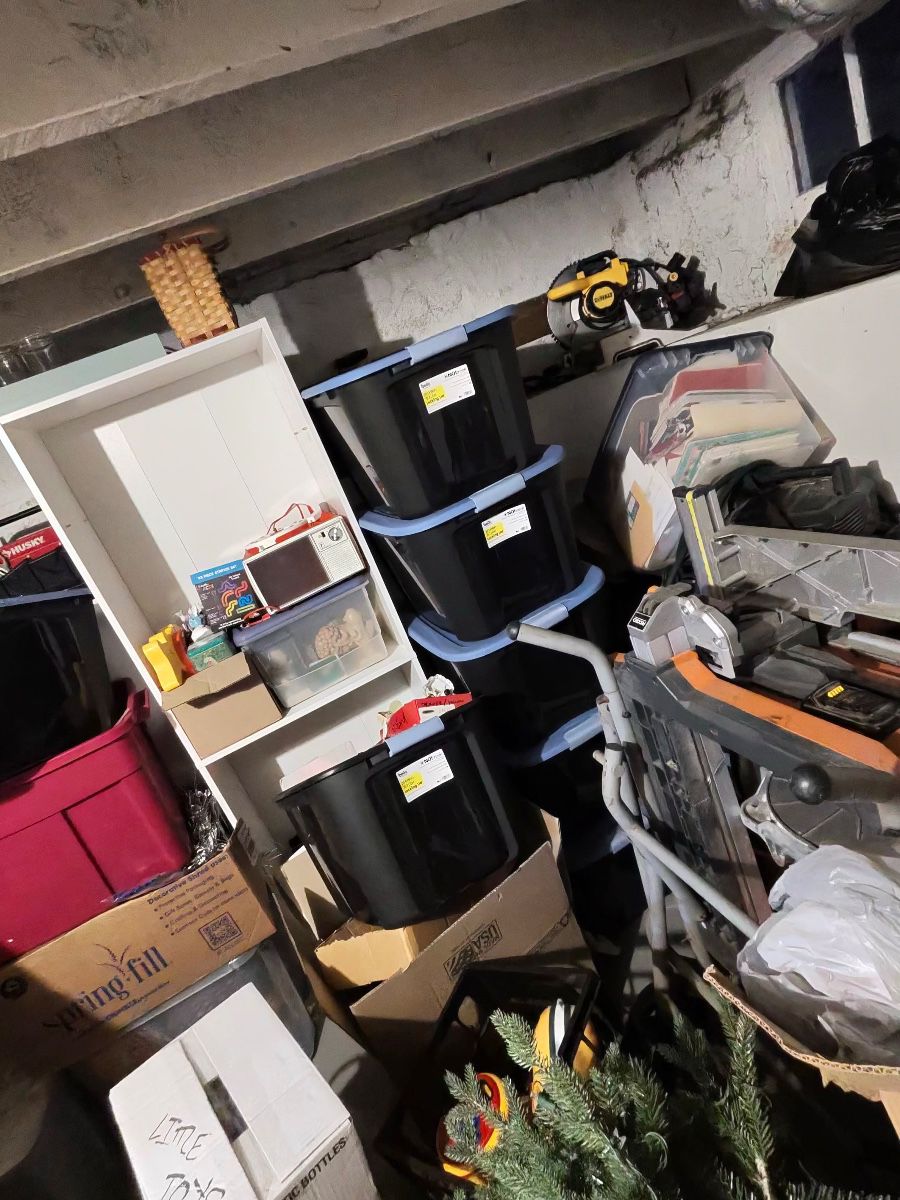 od photo364 singular display fullPicture