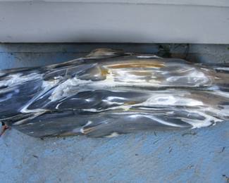 Petrified wood from Hawaii - large and old