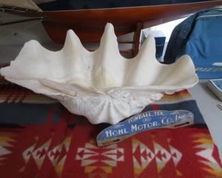 Giant clam and license plate topper